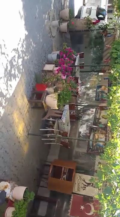 Fotoğraf 13
