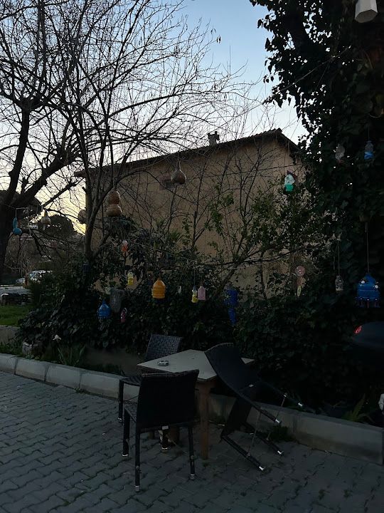 Fotoğraf 10