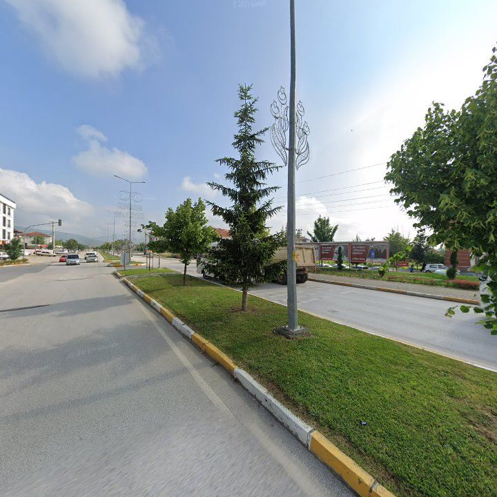 Fotoğraf 8