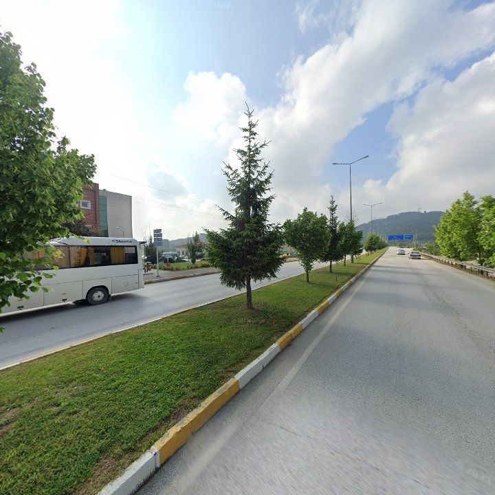 Fotoğraf 7