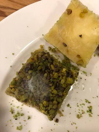 Fotoğraf 15