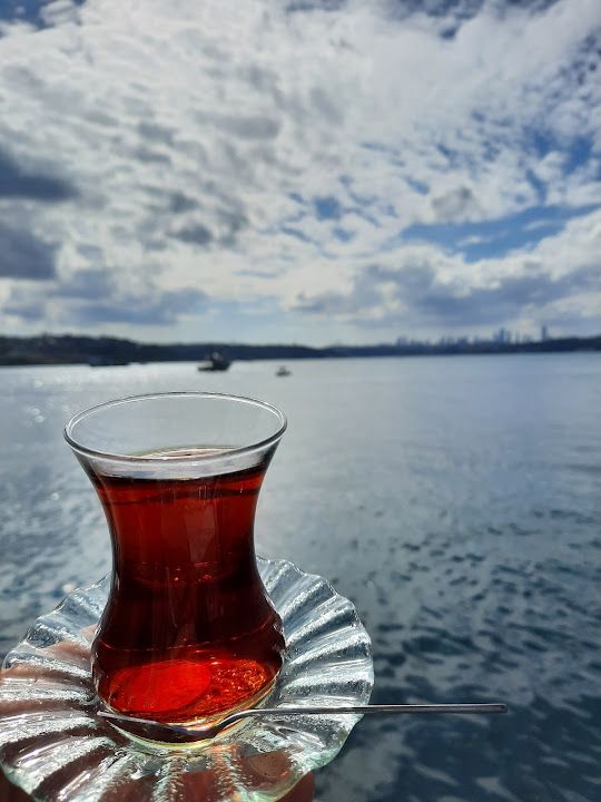 Fotoğraf 33