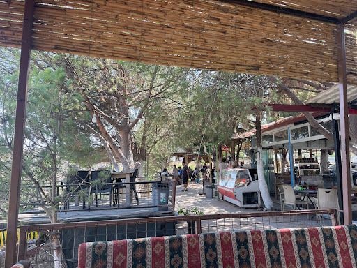 Fotoğraf 27