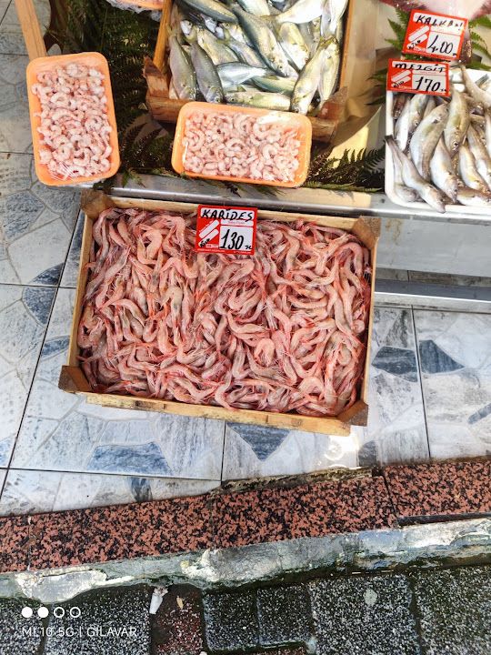 Fotoğraf 19
