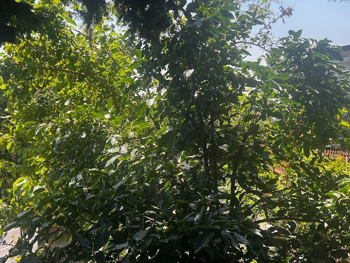 Yorum fotoğrafı 4