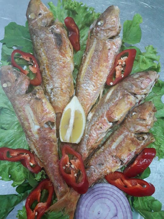 Fotoğraf 28