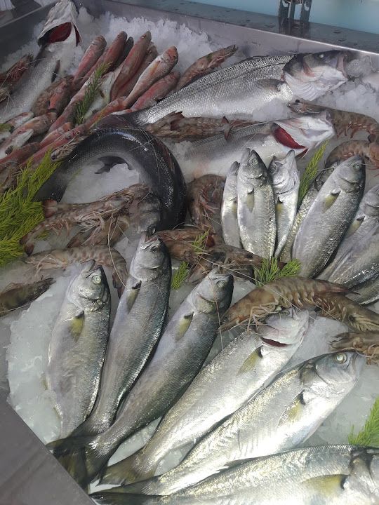 Fotoğraf 37