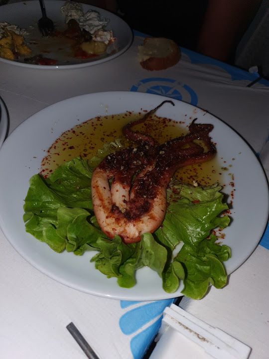 Fotoğraf 31