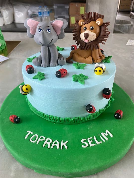 Fotoğraf 23
