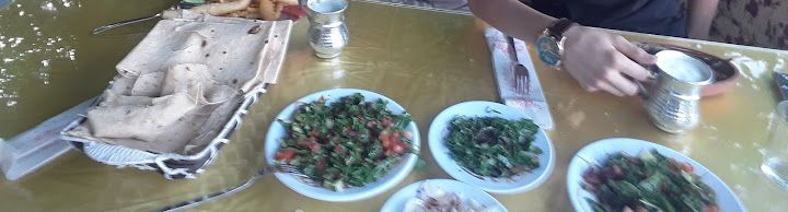 Fotoğraf 17