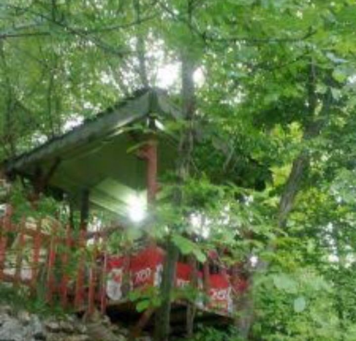 Fotoğraf 12