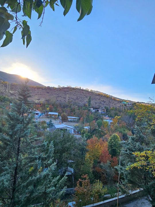 Fotoğraf 44