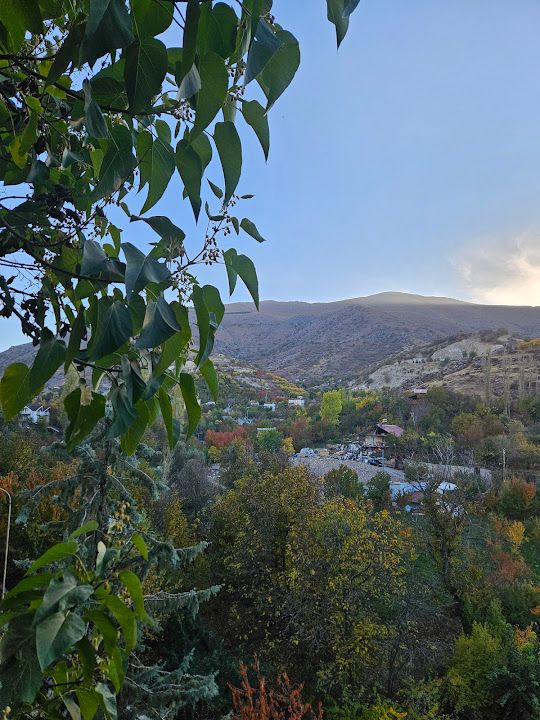 Fotoğraf 43