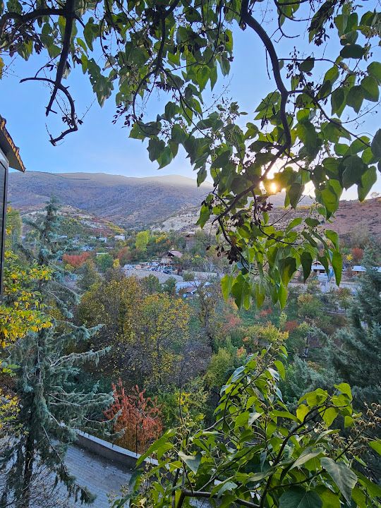 Fotoğraf 42