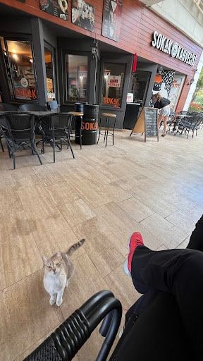 Yorum fotoğrafı 4