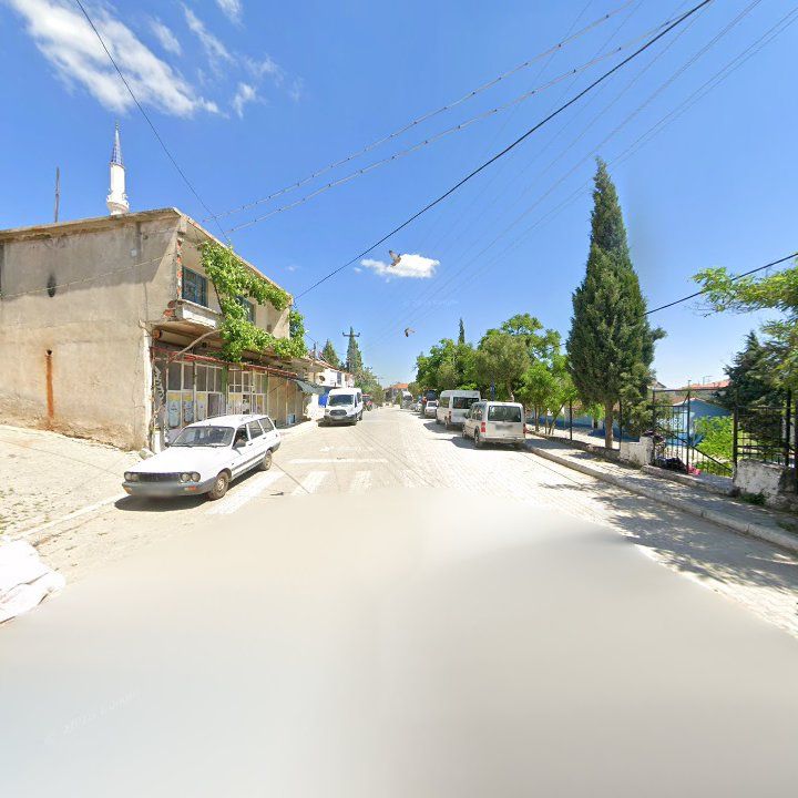 Fotoğraf 7