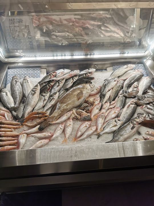 Fotoğraf 25