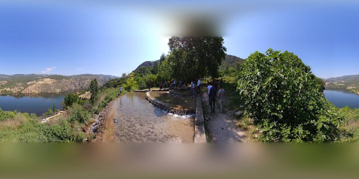 Fotoğraf 30