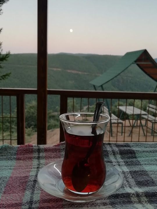 Fotoğraf 14