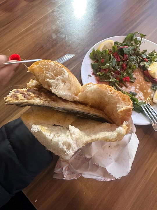 Fotoğraf 15