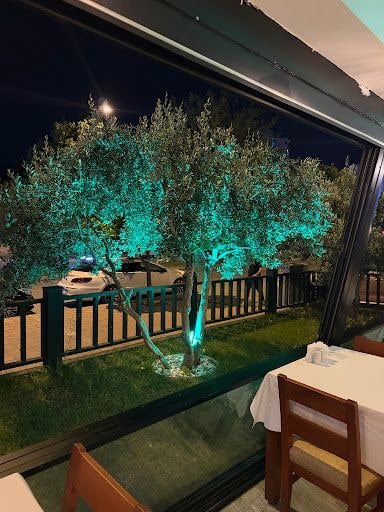 Yorum fotoğrafı 4