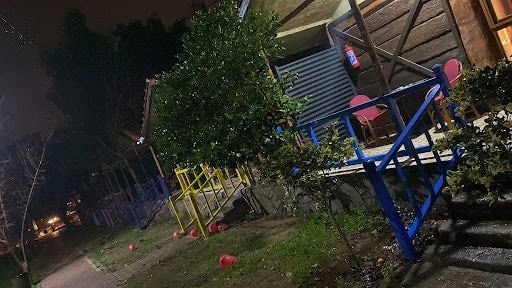 Fotoğraf 12