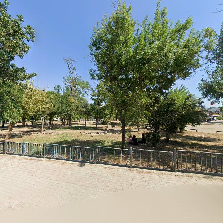 Fotoğraf 7
