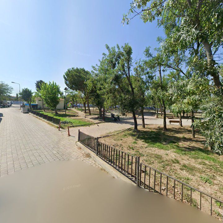 Fotoğraf 6