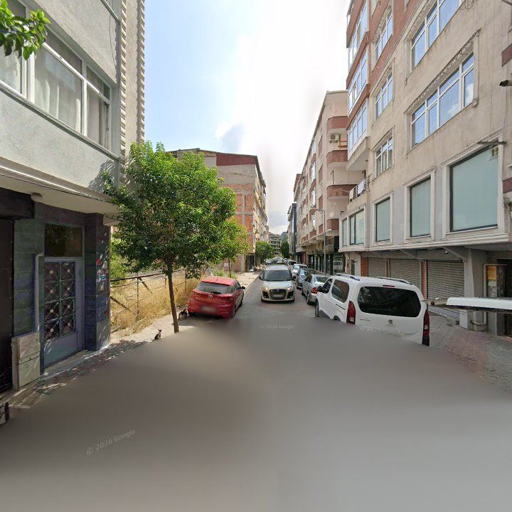 Fotoğraf 10