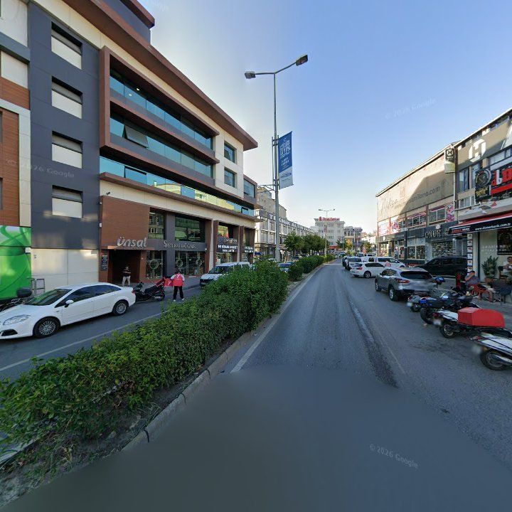 Fotoğraf 11