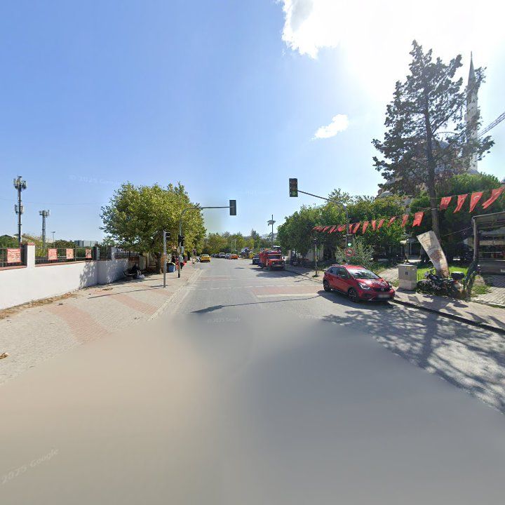 Fotoğraf 8