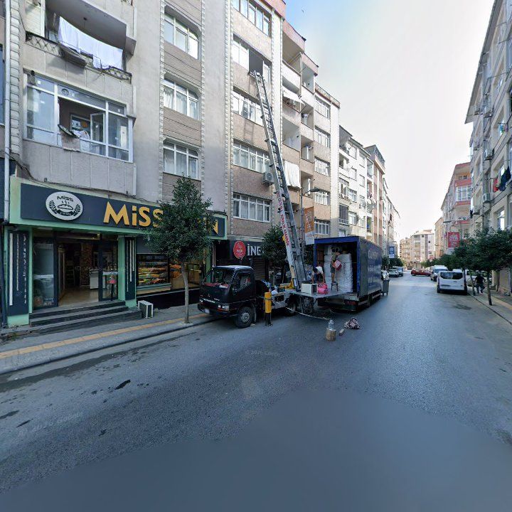 Incir Ağacı