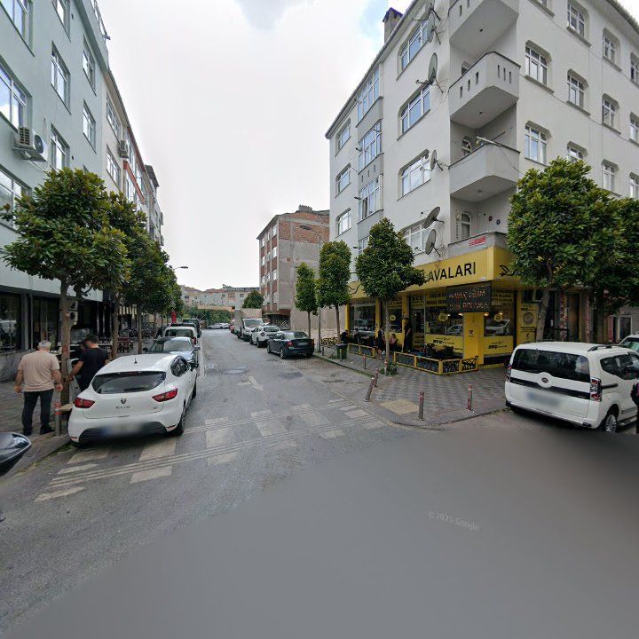 Fotoğraf 12