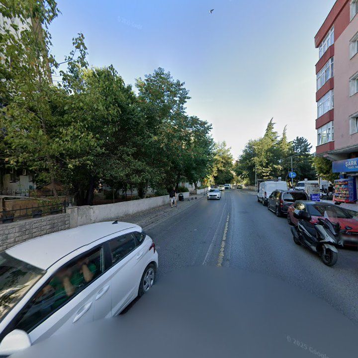 Fotoğraf 9