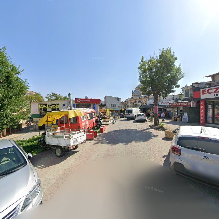 Fotoğraf 7