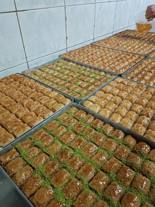Fotoğraf 22