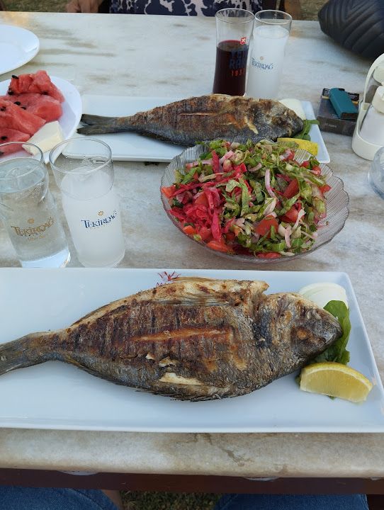 Fotoğraf 33