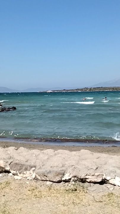 Yorum fotoğrafı 2