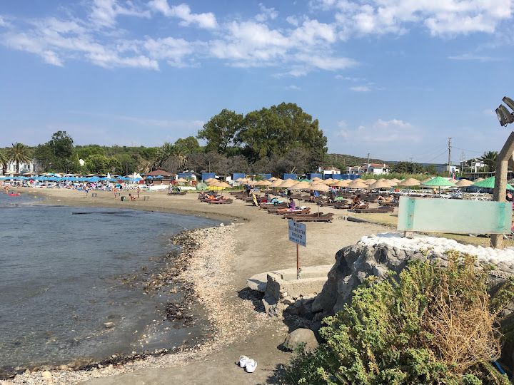 Yorum fotoğrafı 4