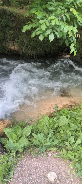 Fotoğraf 27