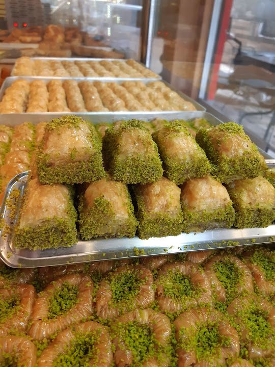 Fotoğraf 11