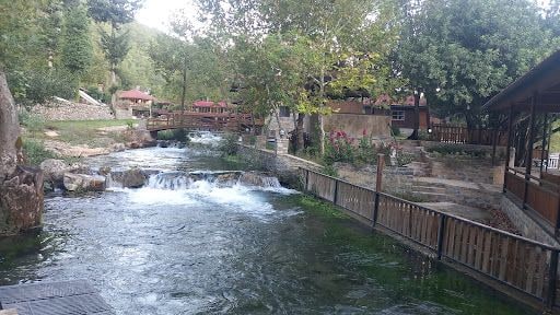 Fotoğraf 15