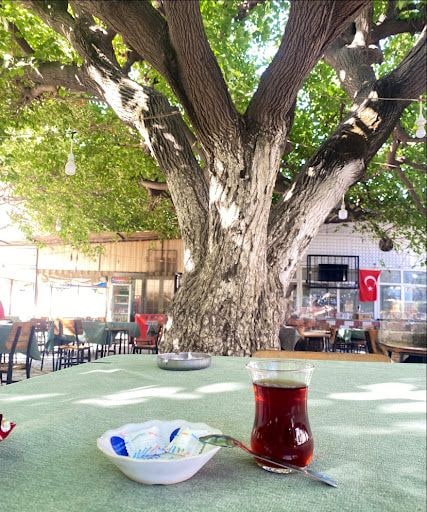 Fotoğraf 8