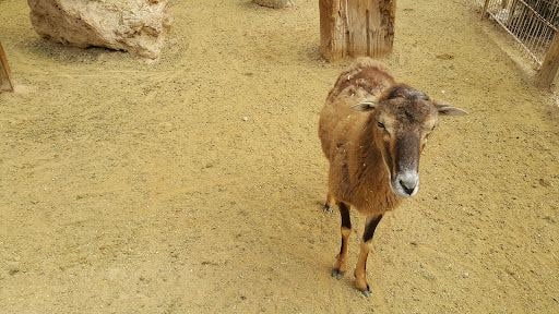 Yorum fotoğrafı 3
