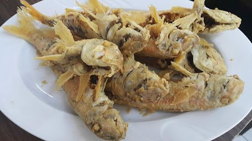 Yorum fotoğrafı 7