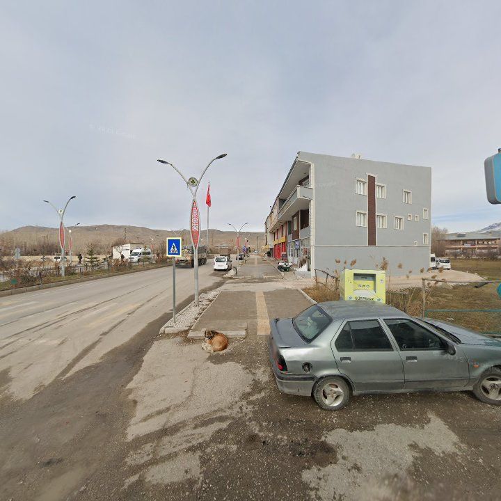 Fotoğraf 8