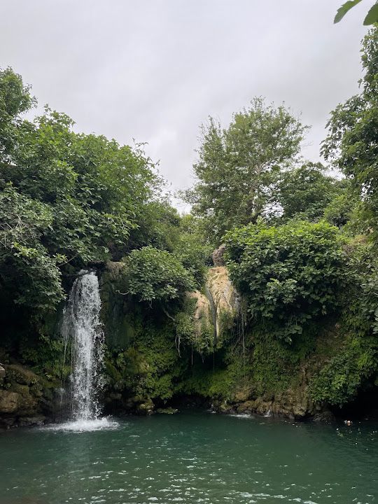 Yorum fotoğrafı 4