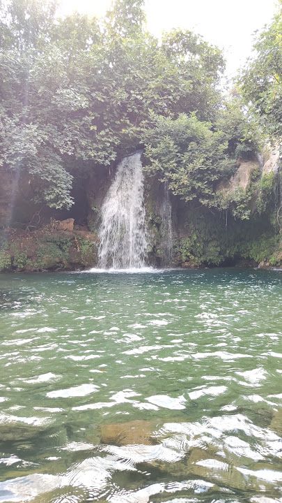 Yorum fotoğrafı 4