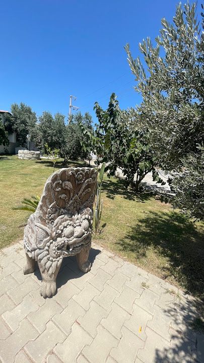 Yorum fotoğrafı 4