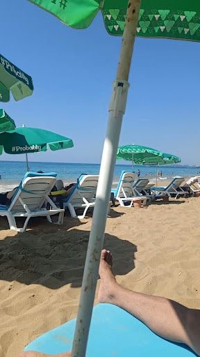 Yorum fotoğrafı 5